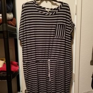 Synched waist casual dress